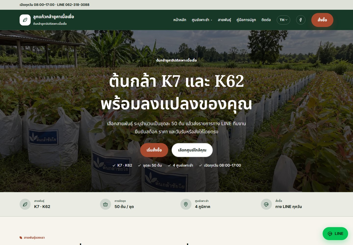 Aperçu du site — Lukkaew Eucalyptus